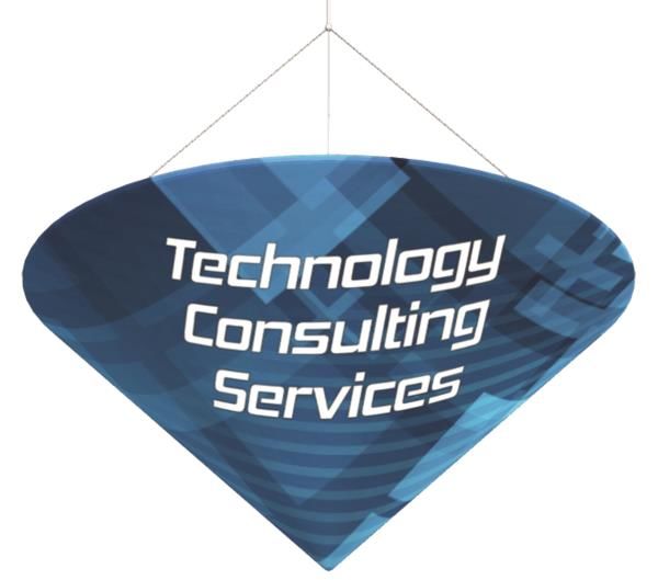 CEIL002 - Custom Ceiling Display for Professional Services