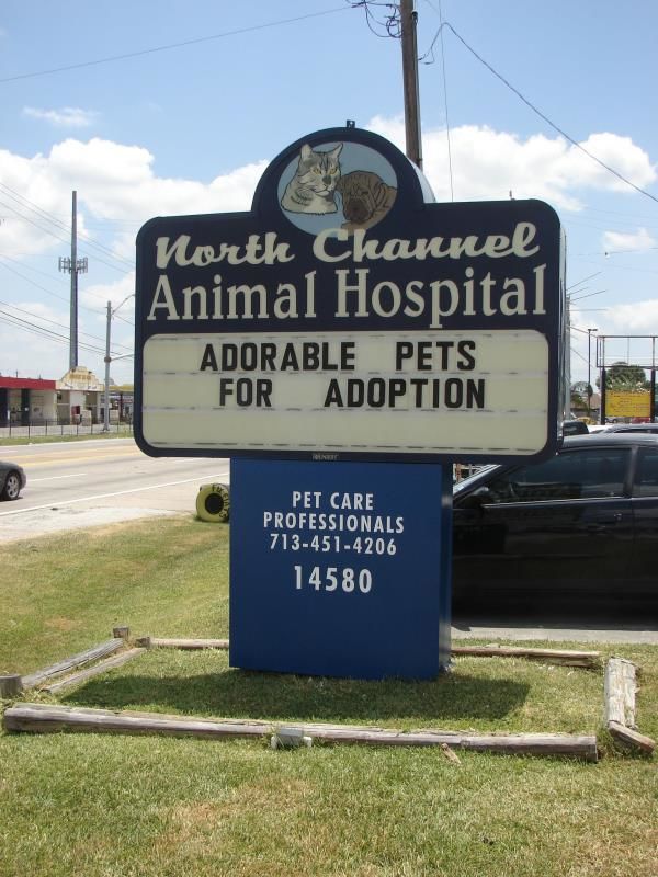 CLS010 - Custom Changeable Letter Sign for Healthcare