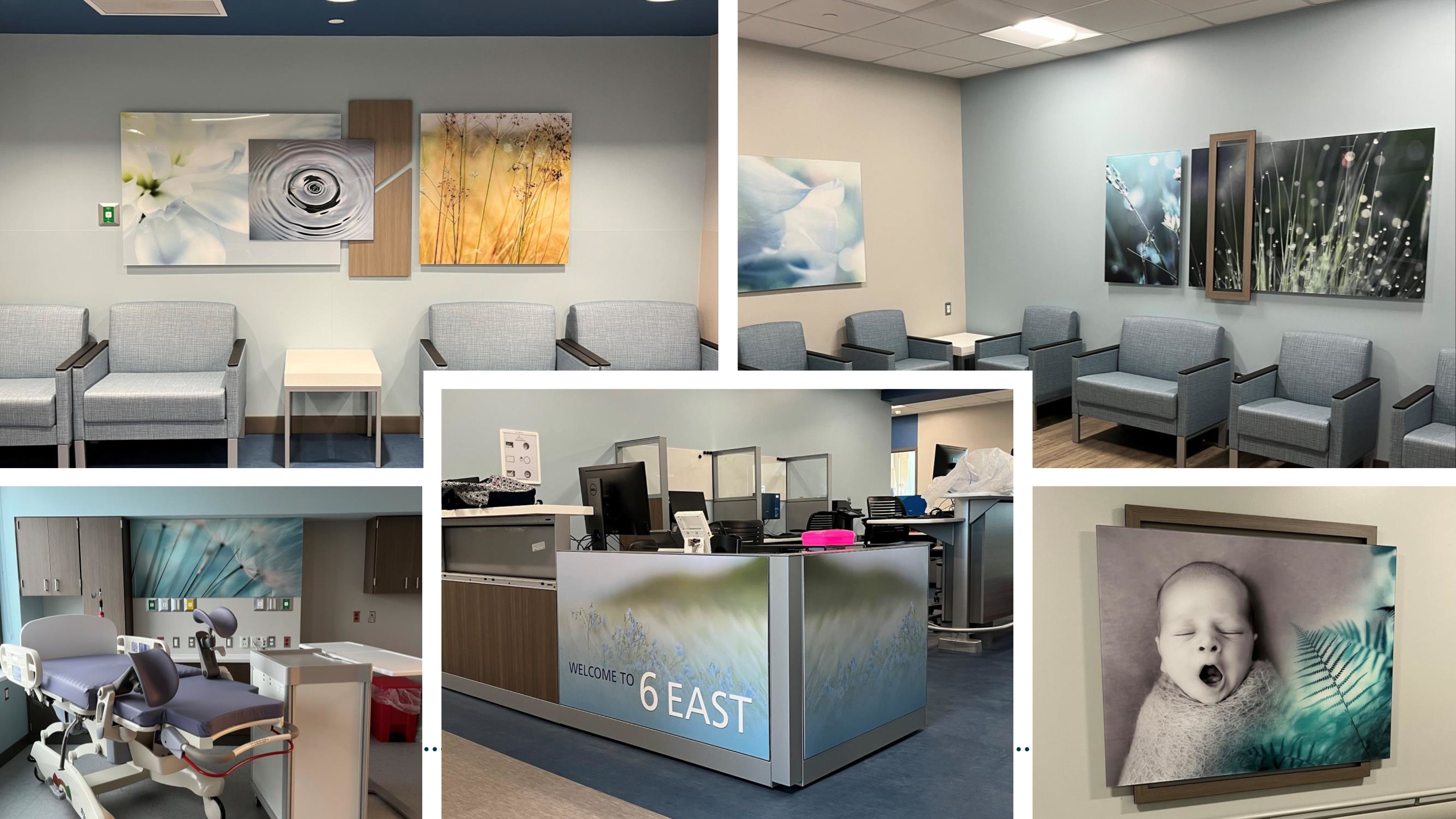 Environmental Graphic Displays