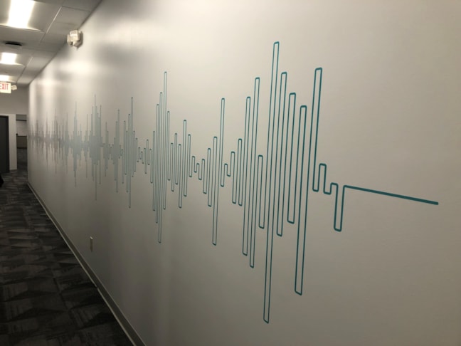 Wall Murals & Graphics