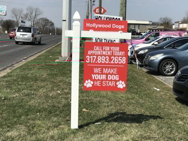 Yard Sign for Hollywood Dogs in Indianapolis IN