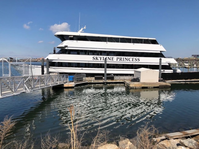 Vehicle Window Decals, Graphics & Lettering