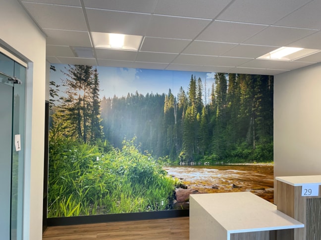 Wall Graphics, Murals, & Custom Wallpaper