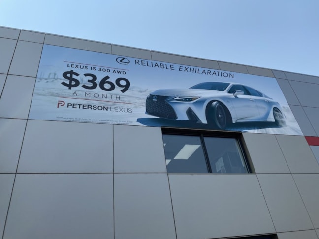 Wall Graphics, Murals, & Custom Wallpaper