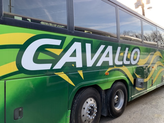 Vehicle Wraps in [city]