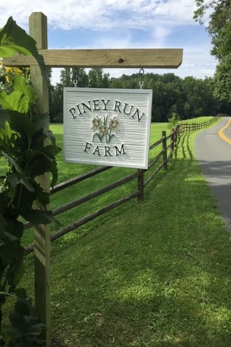 3D Signs & Dimensional Letters & Logos