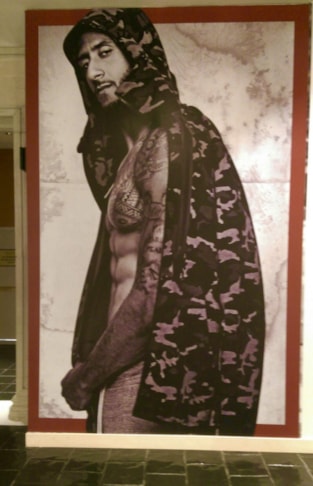 Wall Murals and Graphics