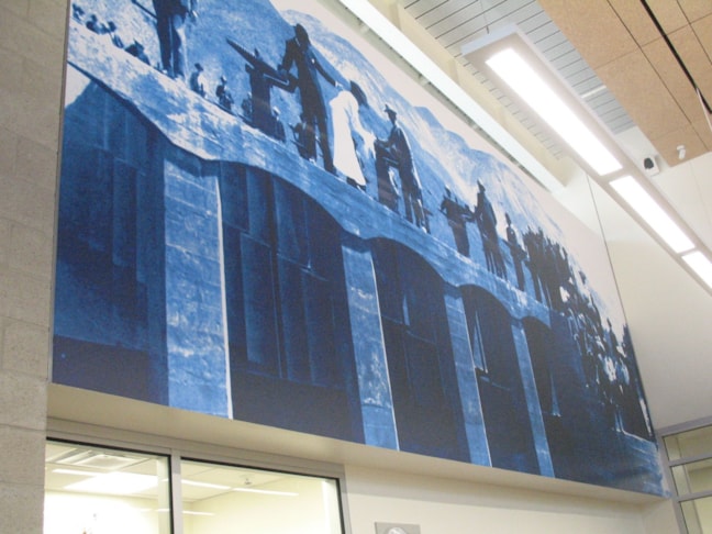 Wall Murals and Graphics