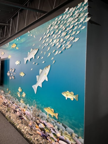 Wall Murals & Graphics