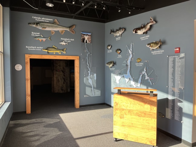 Wall Murals & Graphics