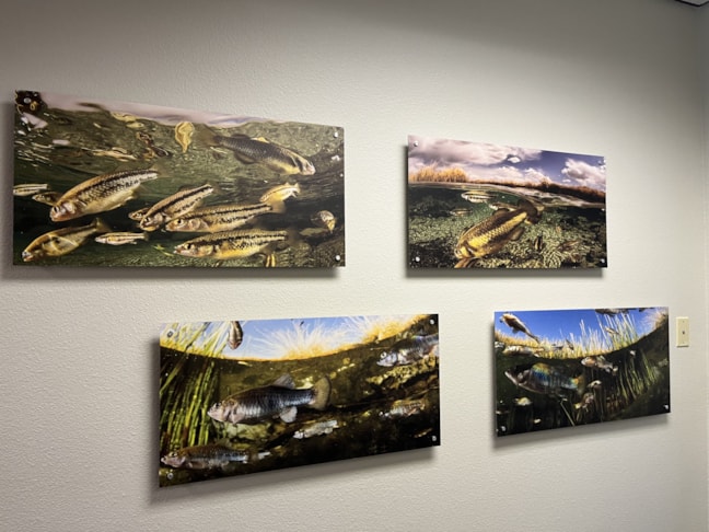 Display Boards | Government & Public Office Signs