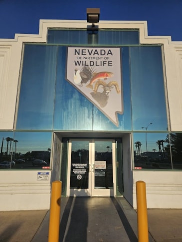 Custom Decals, Wraps & Lettering