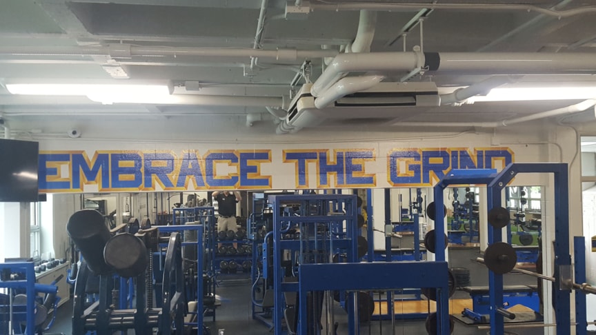 Wall Graphics, Murals, Wallpaper