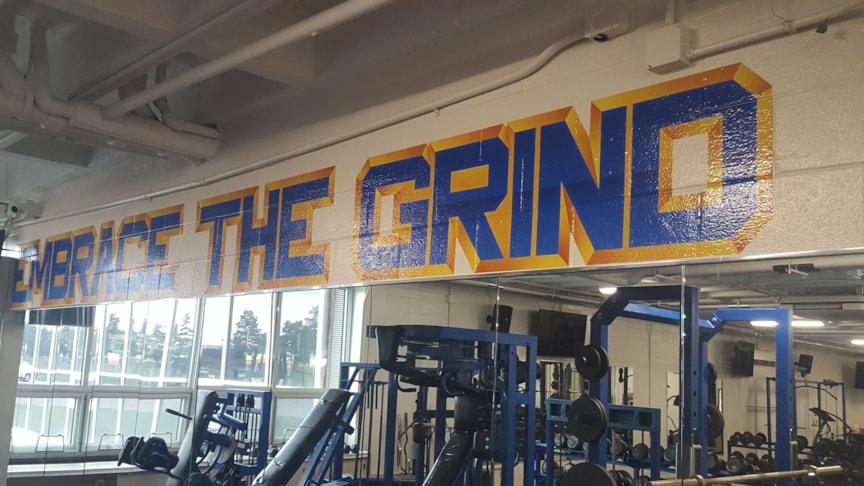 Wall Graphics, Murals, Wallpaper