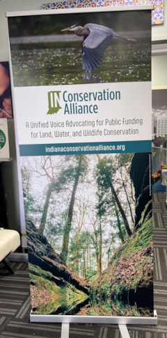 Banner Stands