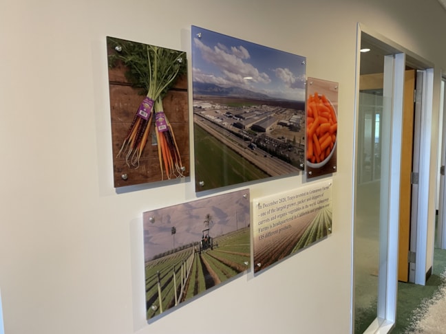 Custom Plastic & Acrylic Displays