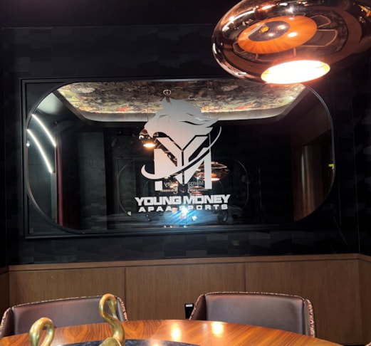 Privacy Window Film
