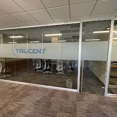 Privacy Window Film