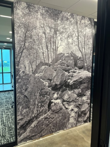 Wall Murals & Graphics