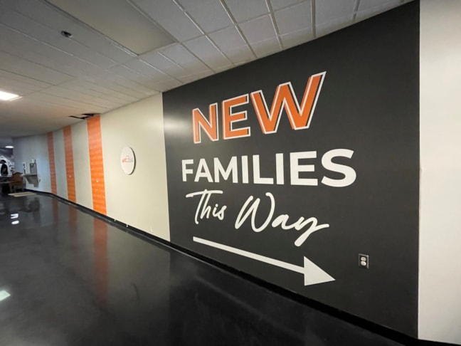 Wall Murals & Graphics