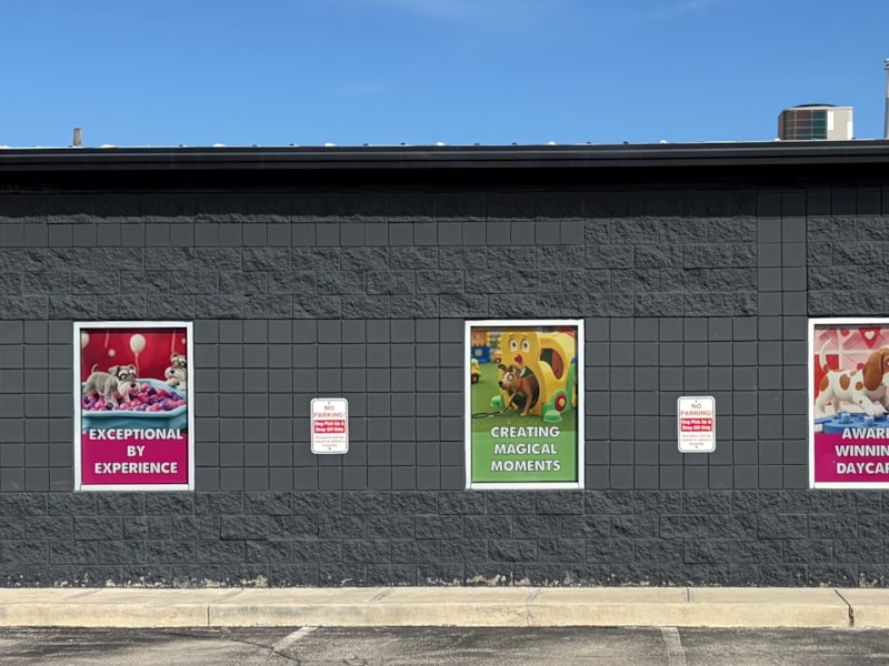 Perforated Window Graphics | Retail | Zionsville, IN | Vinyl