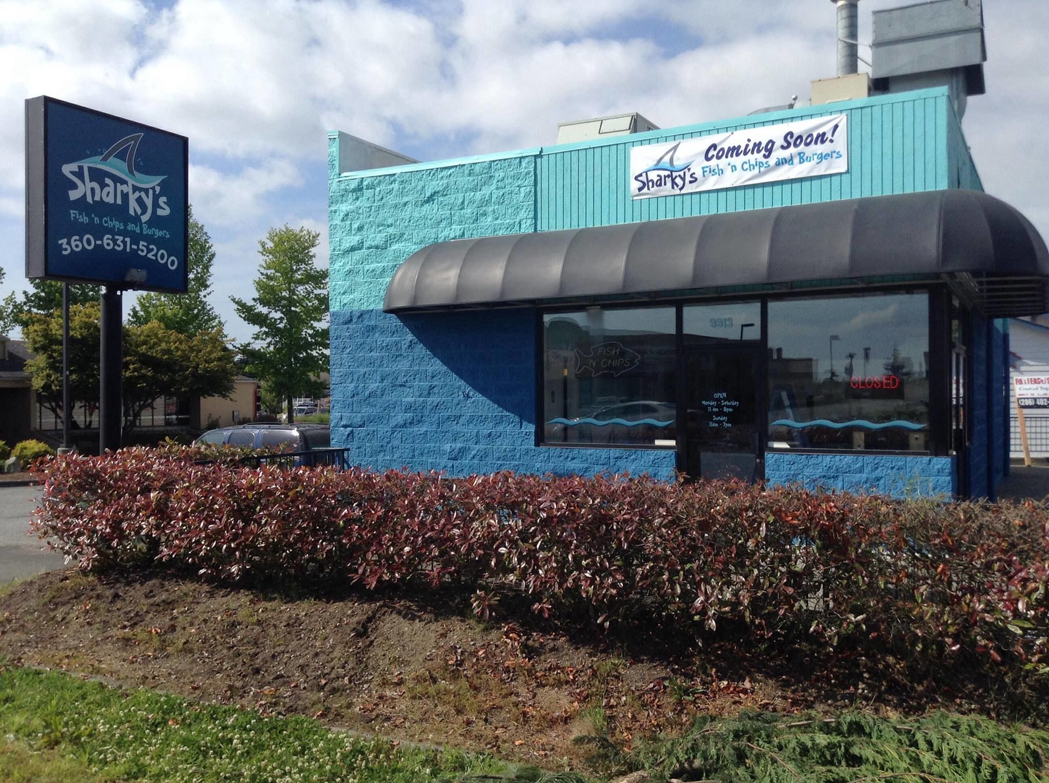  - Illuminated Signs - Lightbox & Banner - Sharky