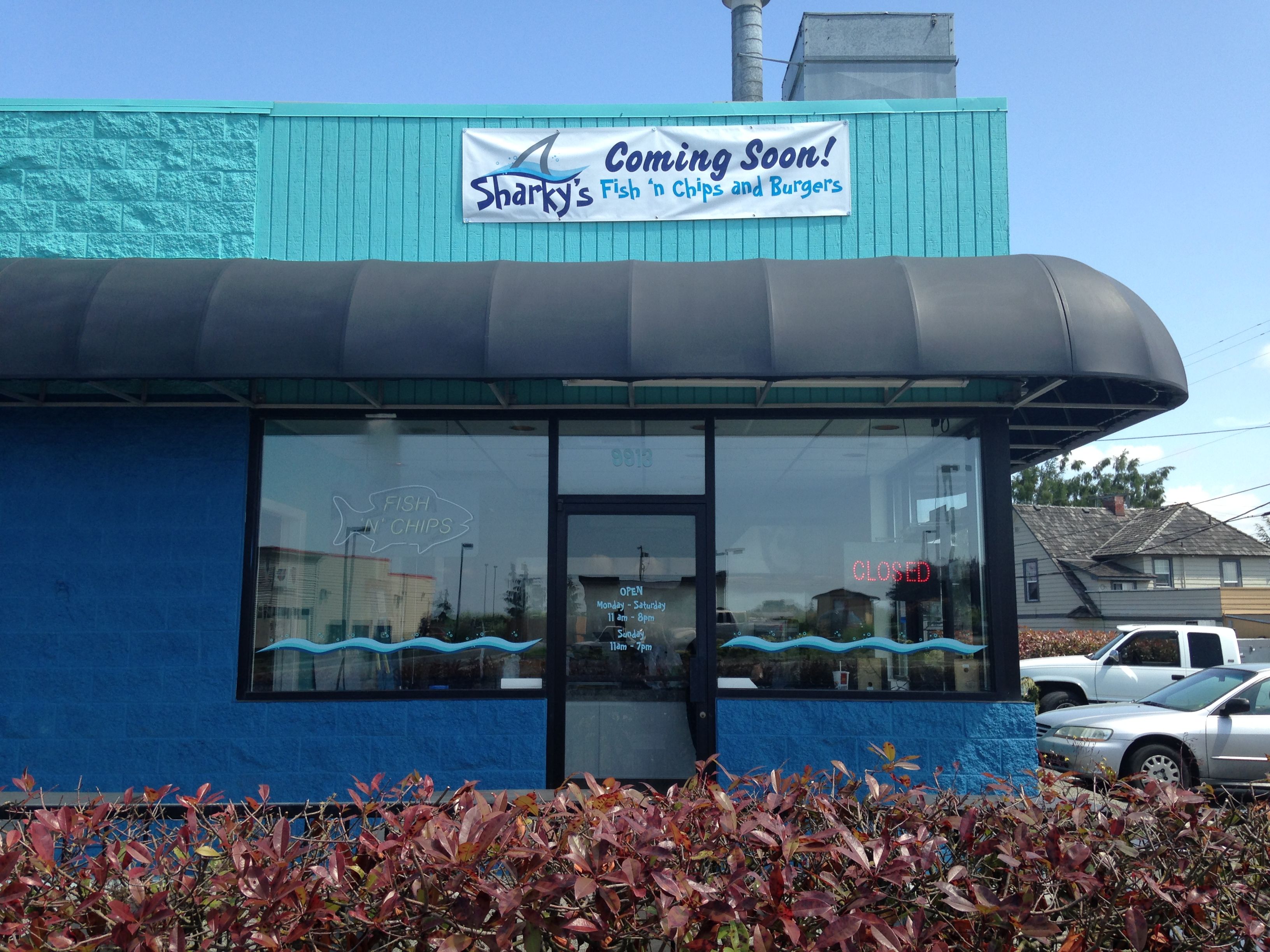  - Custom Graphics - Window Graphics & Banner - Sharky