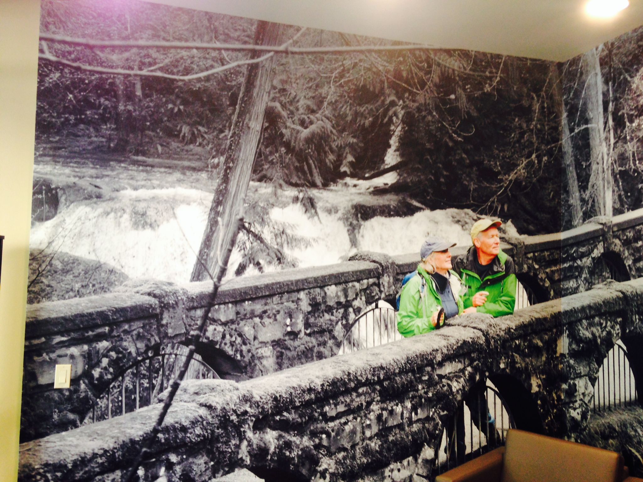  - Custom Graphics - Wall Graphics - Skagit Bank - Bellingham, WA