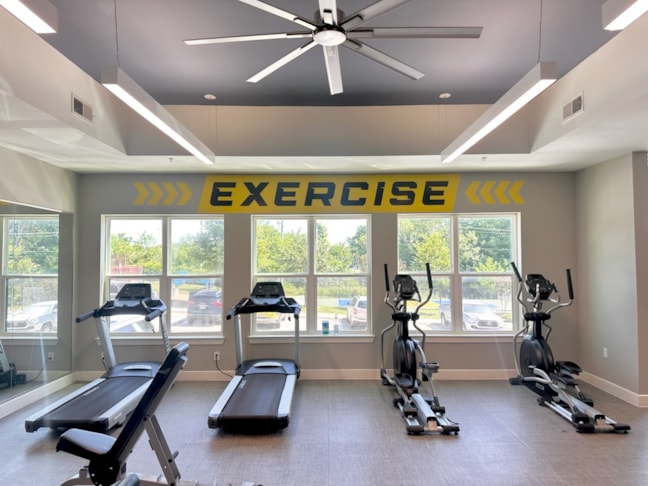 Wall Murals & Graphics