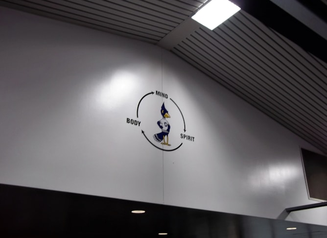 Wall Murals and Graphics