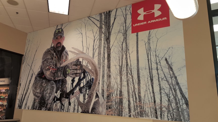 Wall Murals and Graphics