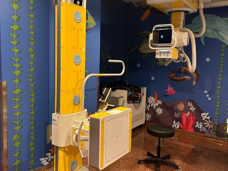 Wall Murals & Graphics | Vinyl