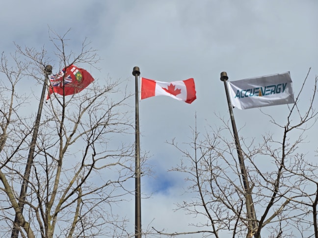 Feather Flags & Flutter Flags