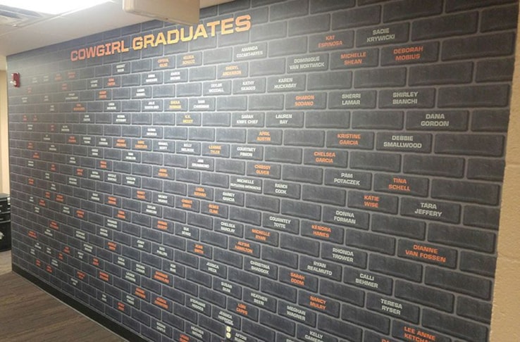 Wall Murals and Graphics