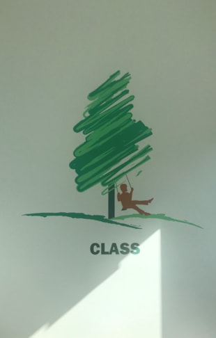 Wall Graphics, Murals, & Custom Wallpaper