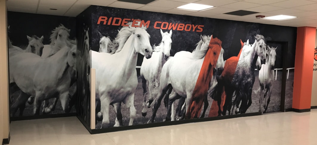 Wall Murals & Graphics