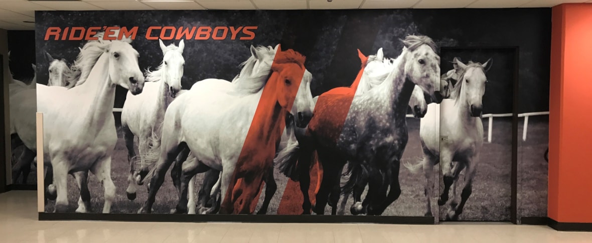 Wall Murals & Graphics