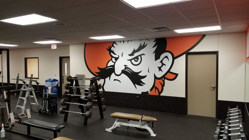 Wall Murals & Graphics