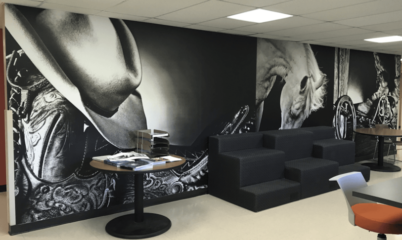 Wall Murals & Graphics