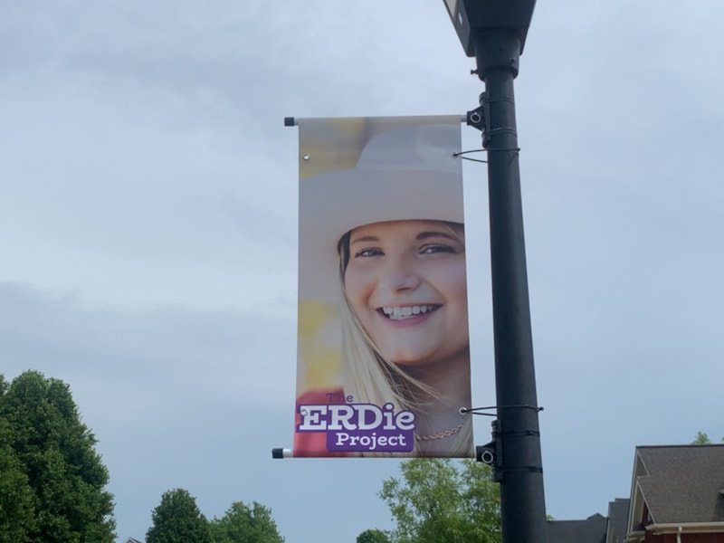 Boulevard & Street Pole Banners | Nonprofit Organizations and Associations | Vinyl