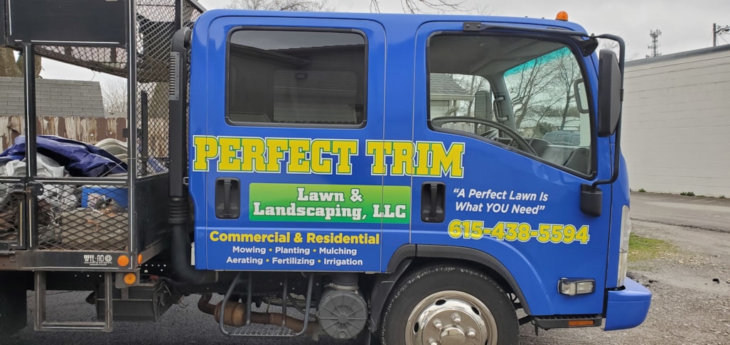 Full Vehicle Wraps