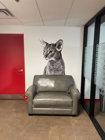 Wall Murals & Graphics