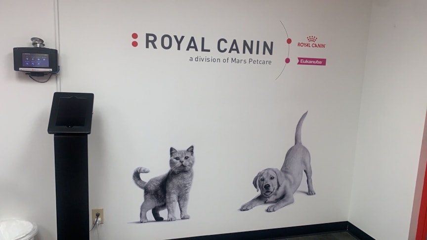 Wall Murals & Graphics