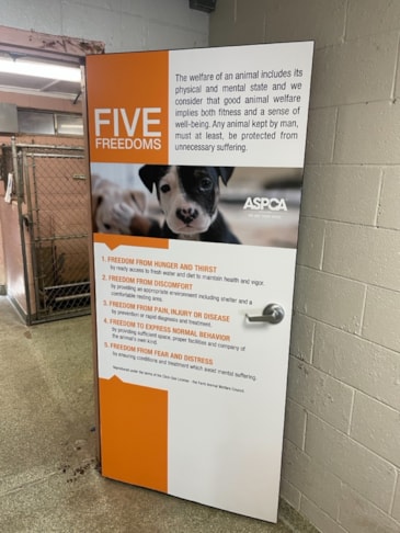 Vinyl Wrap on Door | Animal Shelter