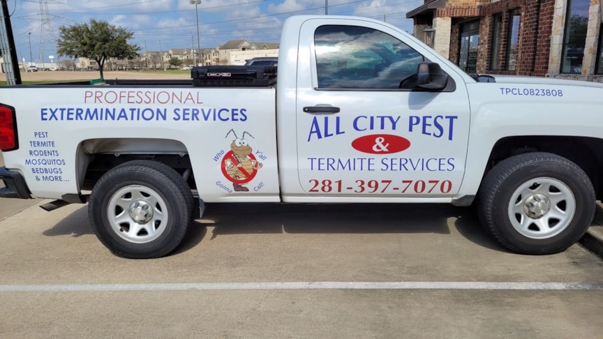 Vehicle Wraps