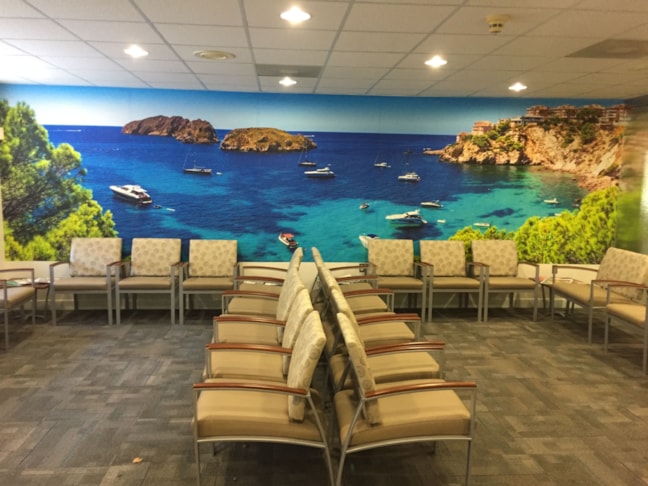 Printed Vinyl Wall Mural