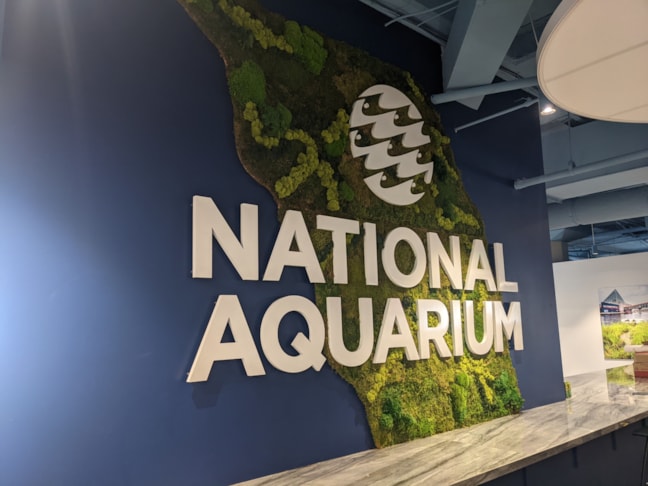 Acrylic 3D Dimensional Lettering