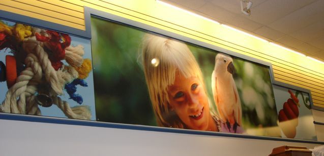 Wide Format Outdoor Quality Printing