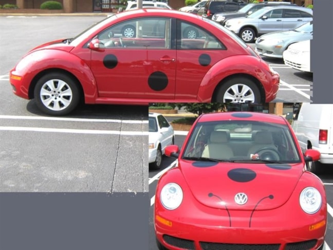 Vehicle Graphics & Lettering in [city]