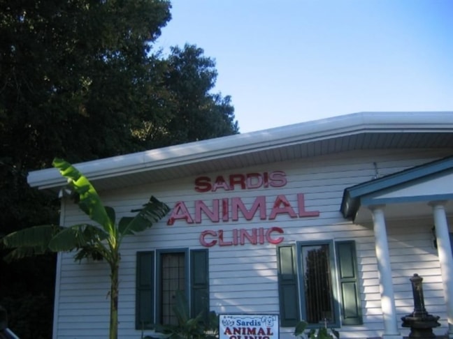 Wall Murals & Graphics